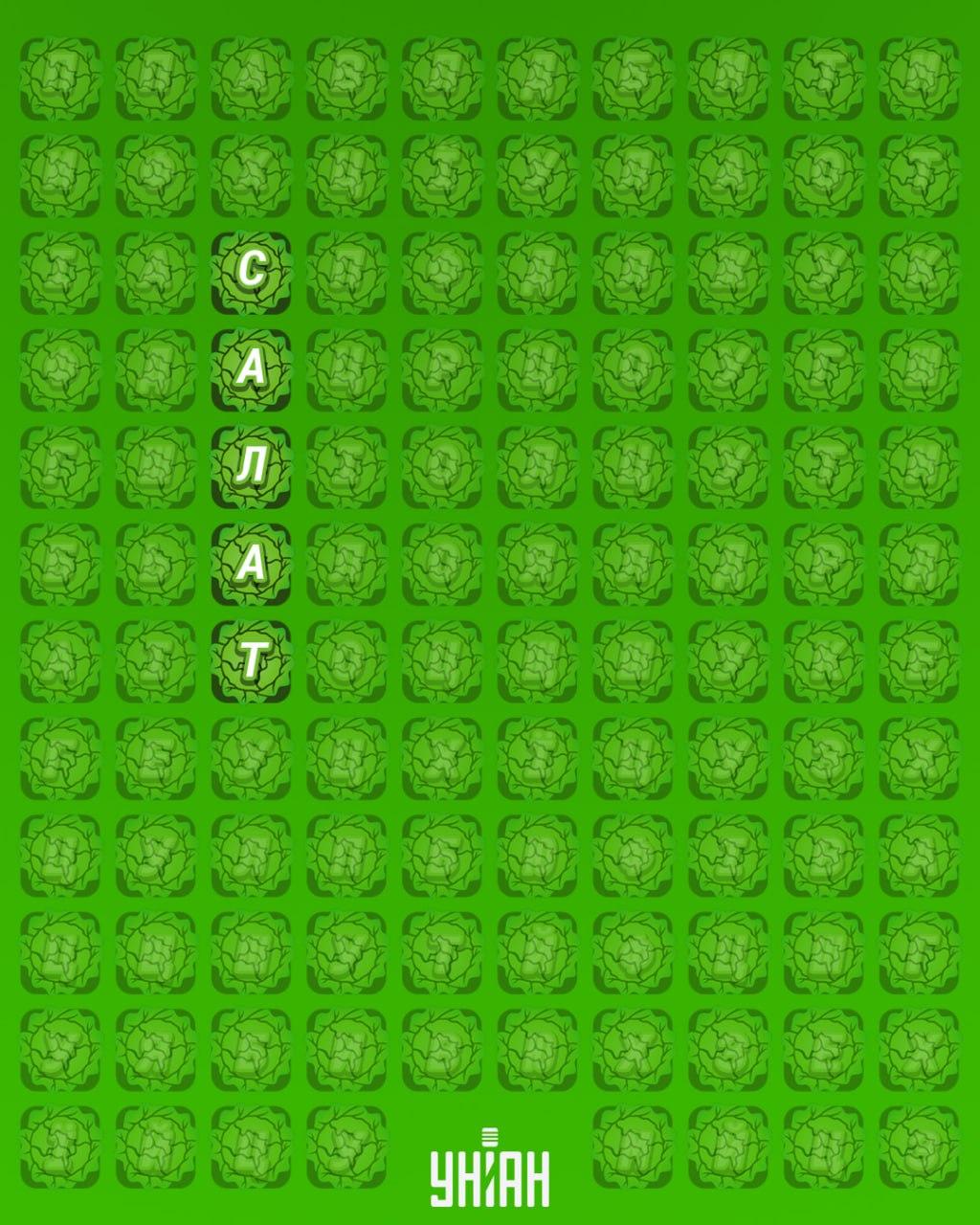 Il 98% delle persone non riesce a trovare la parola 