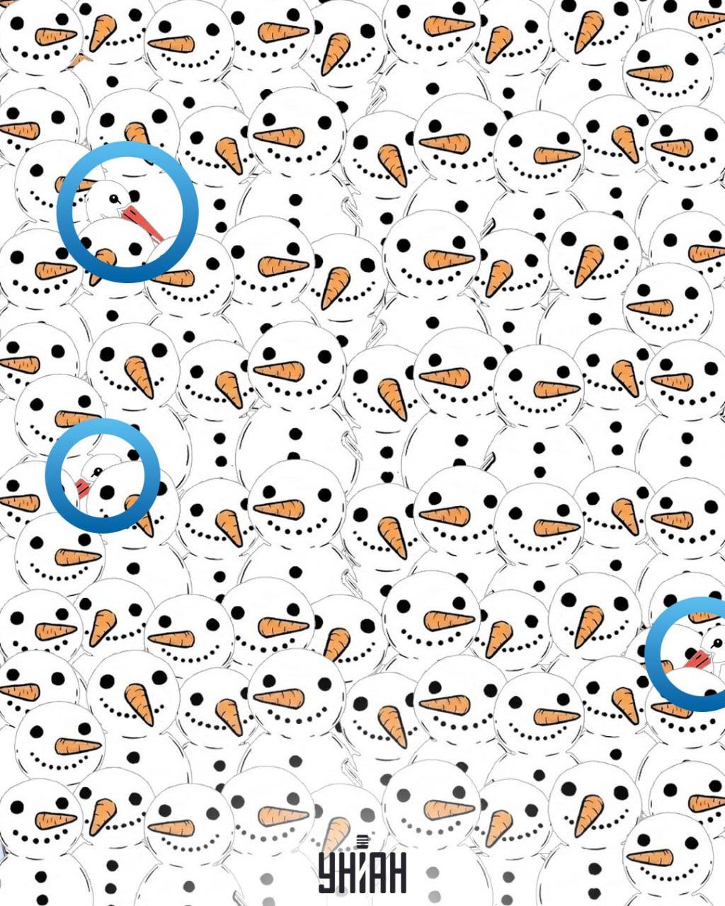 Trova 3 cicogne tra i pupazzi di neve in 11 secondi: incredibile illusione ottica