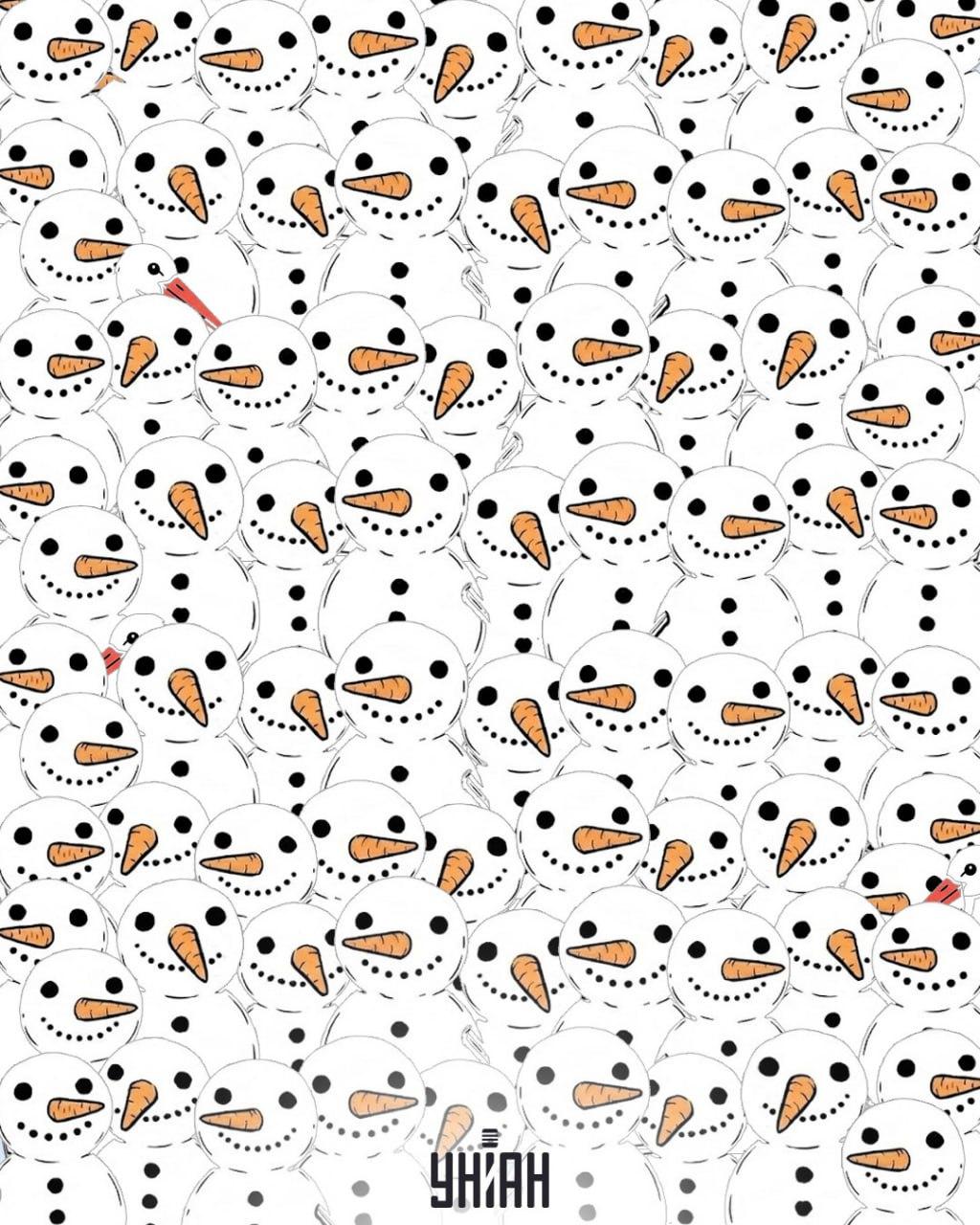 Trova 3 cicogne tra i pupazzi di neve in 11 secondi: un'incredibile illusione ottica